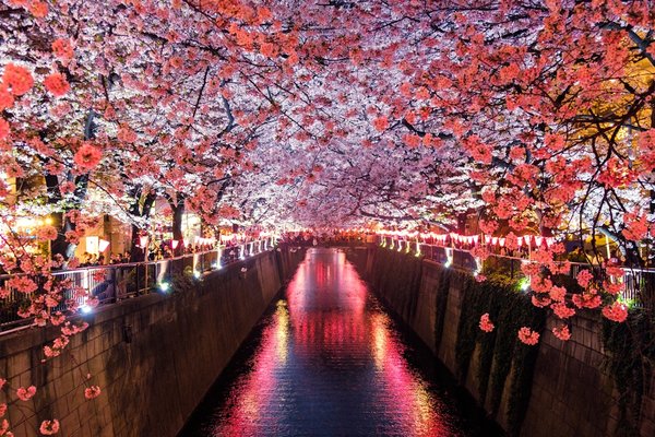 Taiwan